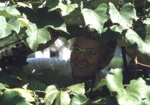 NBHA slides1331